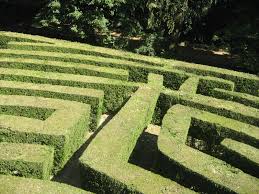Labirinto di Villa Pisani